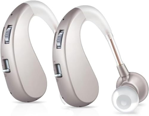 Britzgo Dispositivos Portátiles Recargables, resistencia a largo plazo de 40 horas, función de reducción de ruido, plata (1 par)