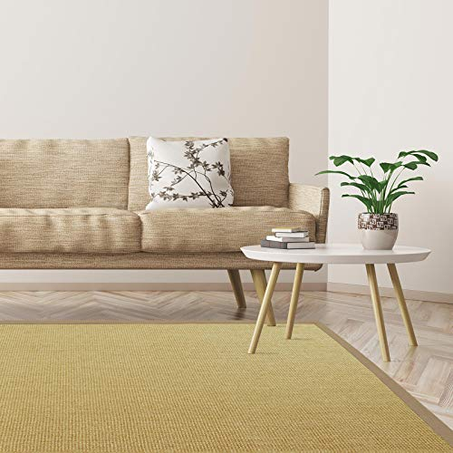 Floordirekt Premium Sisal-Teppich Amazonas | Natur | Mit verschiedenfarbigen Bordüren | 9 Größen | Wohnzimmerteppich, Naturfaserteppich (Creme, 200 x 290 cm)