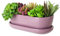 botle Blumentopf Blumenübertopf Rose Kaktenschale mit Untersetzer Oval LxBxH 13 cm x 27,5 cm x 8 cm Oberfläche Glanz Kakten Keramik Modern Glamour