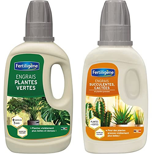 Fertiligène Engrais Plantes Vertes, 400 ML & Engrais Cactus et Succulentes, 250 ML