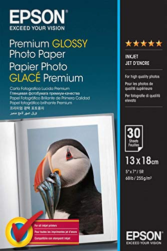 Epson Premium Glossy Photo Paper C13S042154 Fotopapier 13 x 18cm 255 g/m² 30 Blatt Hochglaenzend weiß