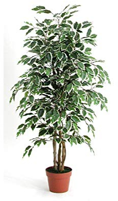 kunstpflanzen-discount.com Ficus konstträd 125 cm med 654 grönvita blad och naturstammar