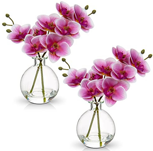 Hollyone 2pcs Artificial Pink Orchid Flower in Vase, Small Fake Orchid Plant with Glass Vase, Decorative Faux Phalaenopsis for Wedding, Centerpiece, Home Decor, Living Room, Bathroom Decorations