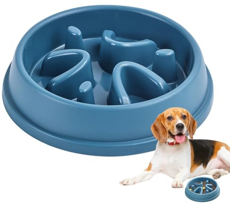 Gamelle pour Chien à Alimentation Lente, gamelles pour Chien à Alimentation | Bol d'alimentation lente anti-avalement pour chat,