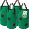 TTL Garden 4X 25L Pflanzsack hängend oder stehend - 4er Set große 25 Liter Vlies Pflanzentasche Erdbeer Ampel Pflanzturm Pflanzbeutel mit 10 Pflanz Löchern für Erdbeeren Kräuter & Blumen - grün