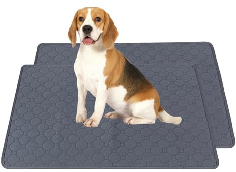 KLVGTIFS 2 Piezas Empapadores Perros Lavables, Superabsorbentes Alfombra Perros, Almohadillas de Entrenamiento Reutilizables, Alfombrilla Antideslizante para Cachorros y Animales Pequeños
