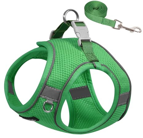 AIITLE Harnais et Laisse pour Chien, Harnais Anti-Traction pour Chiot avec Maille Super Respirante, Promenade en extérieur réfléchissante, Dressage pour Petits Chiens, Chats Vert XS