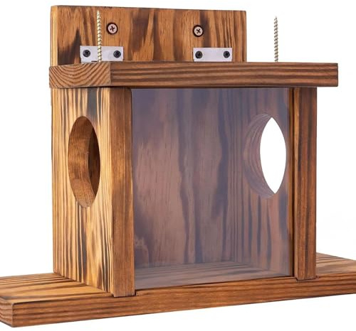 QUXVUIS Comedero y casa para Mariposas. Comedero para Ardillas de para Madera. Ideal para Ardillas en el jardín. para con sombrilla. Cuidado de
