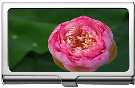 Yanteng Pink Lotus Business Name Kartenhalter 304 Edelstahl-Lotus Flowers Edelstahl-Kartenhalter
