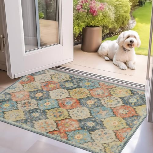 Cekene Dörrmatta inomhus utomhus 43 x 76 cm spaljé entré golvmattor halkfria dörrmattor tvättbar absorberande smutsfångare låg profil golvmatta för ytterdörren kök sovrum