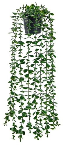 Der Rose Plantas colgantes artificiales falsas de 63 cm, plantas de vid de eucalipto en maceta, para interiores y exteriores, oficina, hogar, sala de estar, baño, decoración de estante de pared
