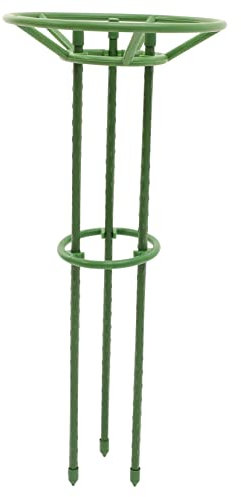 TOYANDONA Cage à Support De Plantes Résistant à Usure Cage pour Plantes Grimpantes Treillis