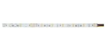 Brumberg Tira flexible LED 24V RGB+W IP00 5m - Cinta luminosa/manguera/tira 24V RGBW