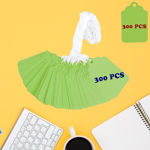 Amlits Green 300Pcs Matte Tags with Strings, Marking Merchandise Hang Tags Labels for Christmas Gifts, Jewelry, Clothing, Garage, Yard, Rummage Sale Supplies - 1.69 x 2.75 inch (Green)