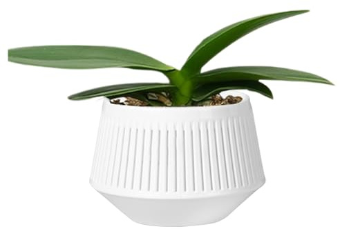 Vasi per frutteti, fioriera per orchidee traspirante a due livelli | Orchidee per rinvaso, fioriera per controllo radici, per falaenopsi, violette africane e viola