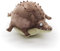 Rollin' WILD - Krokodil, klein - 27 cm (Länge) - Plüsch, Plüschtier - Kuscheltier von Uni-Toys