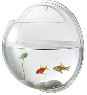 ULTECHNOVO Hanging Wall Mounted Fish Bowl- Acrylic Wall- Mounted Plant Pot Aquarium Wall Decor Hanging Fish Bowl for Water Plants (9 inch)