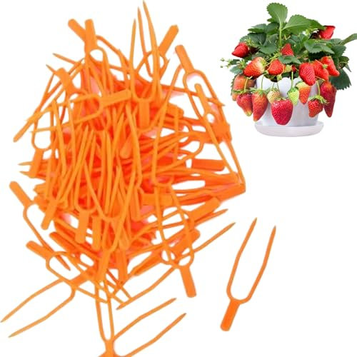 Banziaju Pflanzenclips, 100 Stück Pflanzenstifte Wiederverwendbare Plastikclips Farming Gardening Pflanzende Gabel tragbare und robuste Rebe für Erdbeer, Stolon, Wassermelone, Pflanzzubehör
