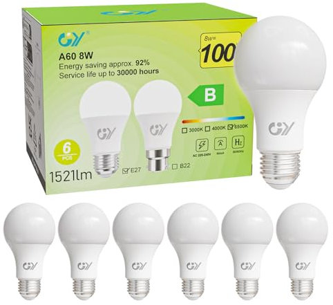 GY Ampoule LED E27 Classe B, 8 W (équivalent 100W),1521 lumens 6500K Blanc Froid,A60 Ampoules E27 LED Efficacité Energétiqu,Non-Dimmable, 6 Unité (Lot de 1)