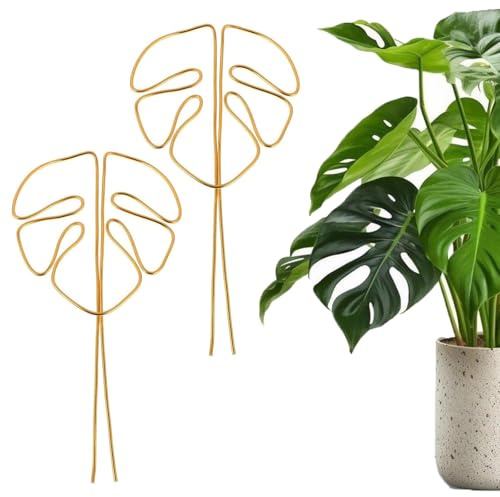 TenaLucy 2 Pièces Tuteur Plante Interieur,Monstera Plant Support Plante Tuteurs pour Plantes Supports Tiges Plantes Anneau de Support de Plante Tuteur Plante Grimpante (Or)