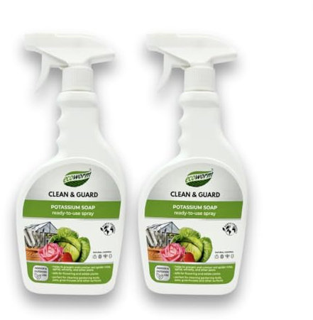 Potassium Soap Spray - 2 Pack - Horticultural Soap - Organic Insecticide - Aphid Control - Pest/Bug Spray 2x0.5L