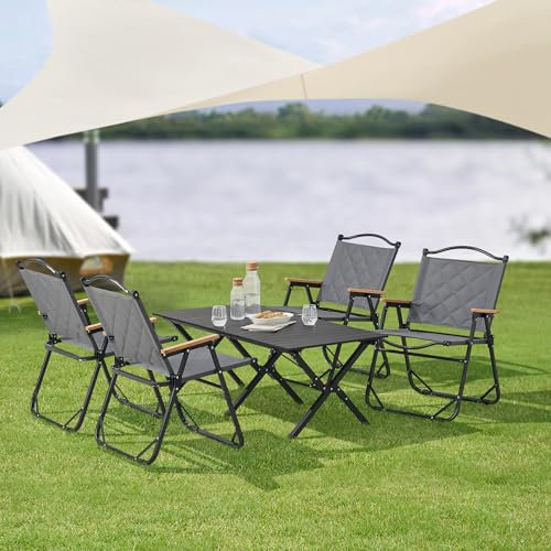casa.pro Gartenmöbelset Botrugno 5-TLG. Campingset 4 Stühle und Tisch für 4 Personen faltbares Picknickset Klappstühle mit Armlehnen Textilgewebe Gartentisch Grau
