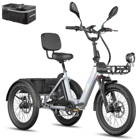 Fafrees F20 Mate E Bike trehjuling fällbart hjul Pedelec 21 AH 48 V [Officiell ] elektrisk trehjuling för vuxna e-cykel, män E-cykel kvinnor 20 tum, seniorer elcykel lastcykel Ebike 65 N.m 180 kg
