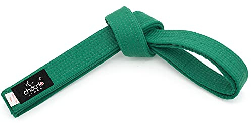 ChoCho Track Karate Belt Wide Double Wrap Martial Arts All Solid Color Belts Judo Hapkido (280Cm, Green)
