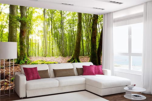 DIMEX LINE Non-Woven Photo Wallpaper Sunset in THE Autumn Forest 375 x 250 cm - Non-Woven Wallpaper, wall Mural, wall Art - Wallpaper for Living Room, Bedroom, Office, Kitchen