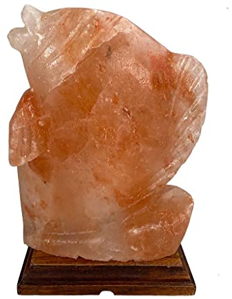 Generic SudoreWell® SW1002slfish01 - Lampada in cristallo di sale con pesce della gamma Salt Pakistan
