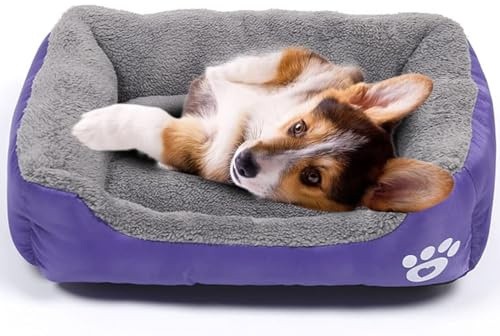 powerking Lit pour Chien, Coussin de Tapis imperméable pour Animal de Compagnie et Coussin de Couchage pour Chat Kitty et Petit Chien Chiot, Doux et Lavable(Violet)