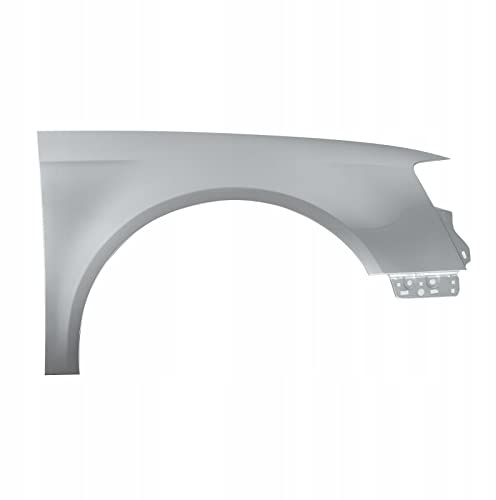 Gal Industrial Kotflügel kompatibel für VW Passat B6 Kombi Limousine LA7W Rechts Silber Vorderseite lackiert
