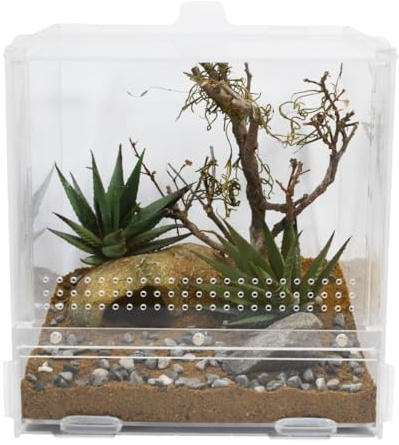 Lucky Reptile LifeTarrium, Größe:20 x 20 x 20 cm