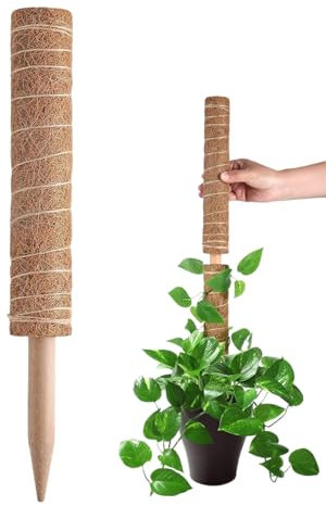 Bâton d'escalade en mousse de coco empilable pour monstera, pothos, philodendron et vignes d'intérieur | Fibre de coco naturelle, noyau robuste, extension facile, respectueux des racines