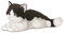 Aurora, 31420, Flopsies Oreo Katze, 30cm, Plüschtier, schwarz/weiß