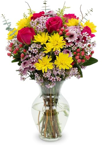 Stargazer Barn – Let's Celebrate Mother's Day Bouquet with Vase – Mother’s Day Flowers for Mom – Fresh Flower Delivery, Farm Fresh, Hand-Tied in USA, Ready to Gift