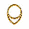 Vankula Septum Piercing Ringe aus G23 Titan Hinged Segmentring Clicker 8mm 16g Helix Nase Tragus Daith Piercing Schmuck für Frauen und Männer Gold