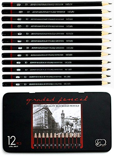 YSLON Professional Sketch and Drawing pencils set,Art Pencil(8B-2H). (12-Count)