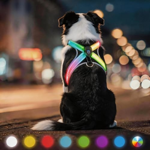 Harnais Chien Lumineux, Chien Anti Traction Réglable Harnais Lumineux LED Réfléchissant Réglable Harnais pour Chiot et Petit Moyen