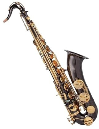 Professionell Saxofon Professionell Spelarens Val Bb Svart Nickel Altsaxofon