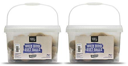 HomeZone Wildvogel Tierfett Fat Bälle Futter Insekten und Mahlzeit Wurm Tierfett Kuchen 6 Stück Blöcke Reich an Protein für Garten Vögel - 100 Tierfett Fat Bälle