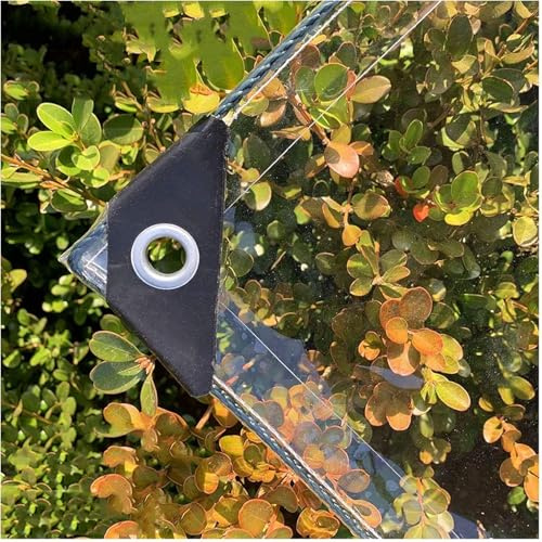 Abdeckplane Wasserdicht, Reißfest Transparent Plane mit Ösen, 0.3mm Dick Multifunktionale PVC Schutz Abdeckung, für Auto, Camping, Gartenmöbel, mit Seil und Kabelbindern, 420g/m² (2X2M)
