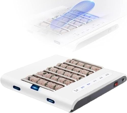 Nettoyeur de Semelles entièrement Automatique, cireuse à Induction Rechargeable, sans Eau, pour la Maison et Le Bureau