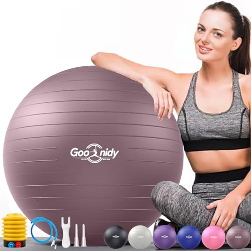 Goonidy Pelota De Pilates Grande Suave para Embarazadas 65 45 55 75 85 CM, Bola Yoga Anti-estallido con Bomba Soporta 2200lbs, Fitball Embarazo Ball Balon Pequeña