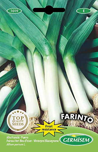 Germisem Farinto Graines de Poireaux 3 g EC1019 Multicolore