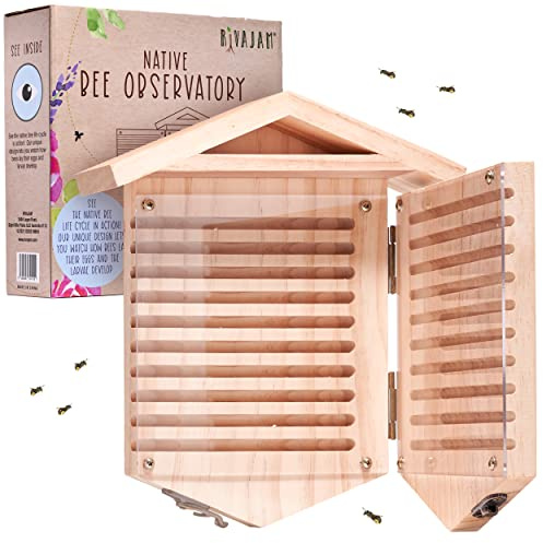 Rivajam Native Bee Observatory | Mason Bee Houses for Pollinating Bees | Pollinator Bee Houses for The Garden Lover | Leaf cutter Bee Home | Unique Gardening Gifts