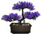 MOVKZACV Künstliche Pflanzen, künstlicher Bonsai-Baum, Raumdekoration für Eingangsbereich, Schlafzimmer, ästhetisch und Bauernhaus, Badezimmer, Bücherregal, Zimmer, Schreibtisch, Dekoration, 27,9 x
