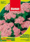 SEMENTI DI ACHILLEA MILLEFOLIUM ROSA giardino semi seeds fiori aiuole blumen