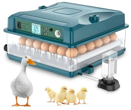 Incubadora automática para 36 huevos, 4 modos automáticos, Incubadora eléctrica - Volteo automático y suministro automático de agua - Control inteligente de temperatura - Doble alimentación (B)