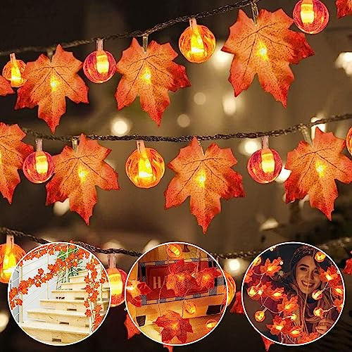 DAZZTIME Guirnalda Luminosa de Hojas de Arce, 6M 40LED, Luces Decorativas para Otoño y Halloween, Cadena de Luces Con Calabaza para Decoración de Fiesta